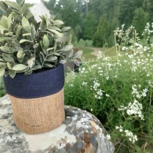 Jute Planters