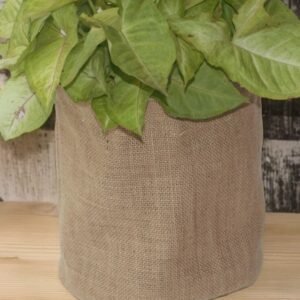 Rustic flower baskets