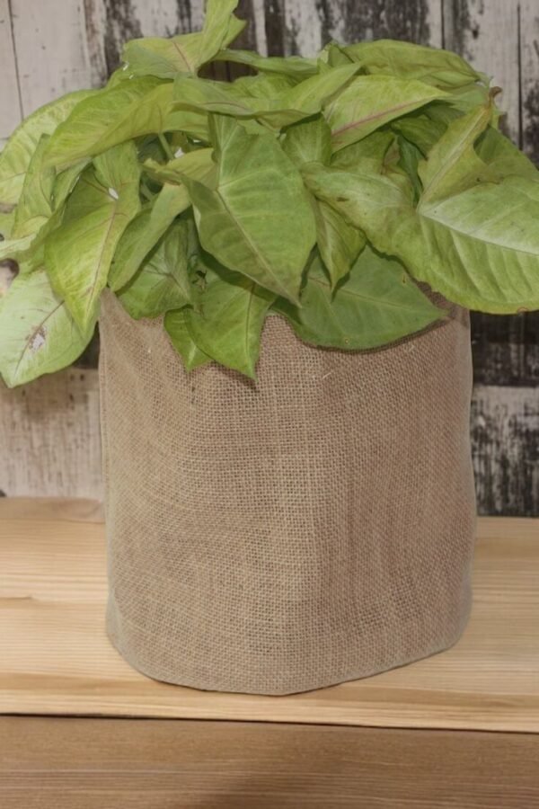 Rustic flower baskets